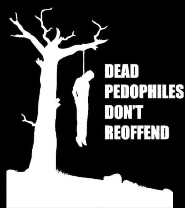 sigi bär tweet media