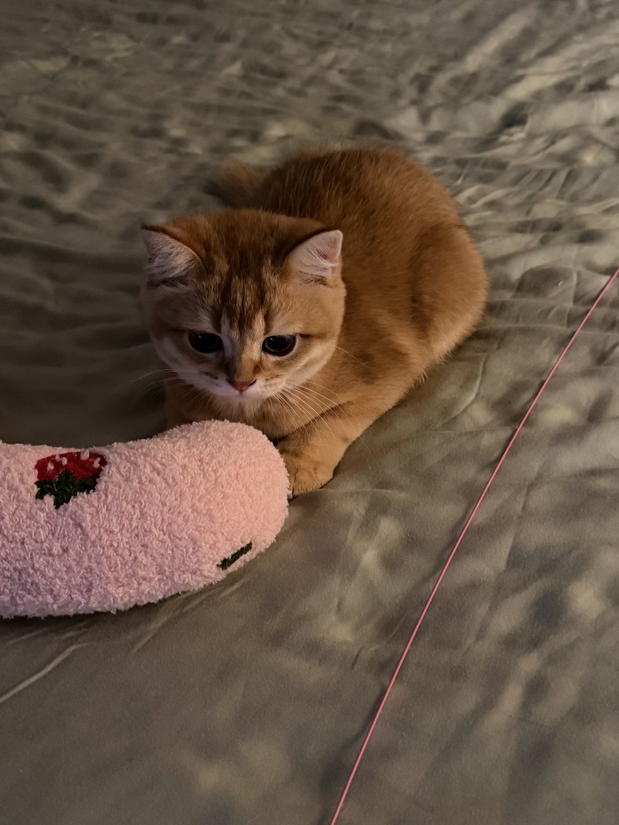 Minister 🔮 tweet media