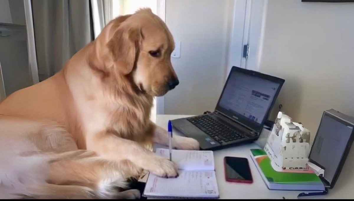 Yo planeando otro viaje, sin haberme recuperado financieramente del anterior.