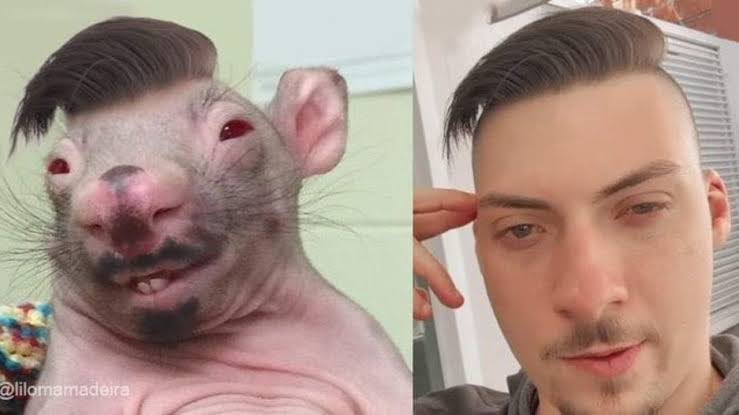 amarlua Presidente Lula 🇧🇷🦜🦑🇧🇷🚩🇵🇸 tweet media