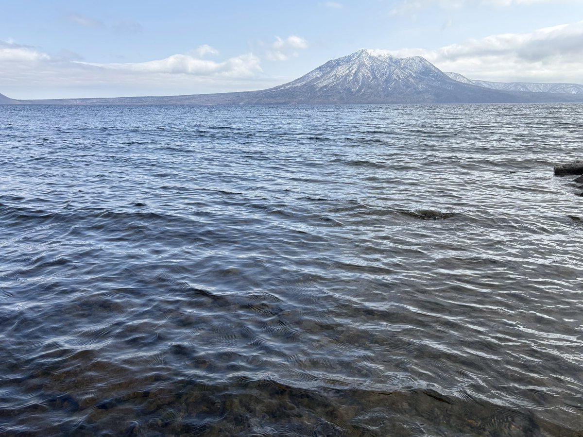 リーチさん tweet media