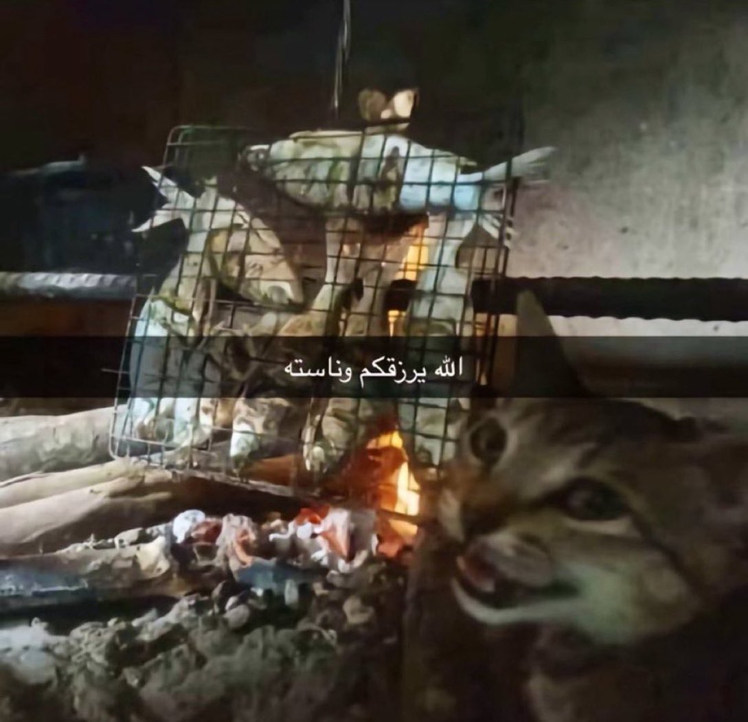 ماجد الحربي tweet media