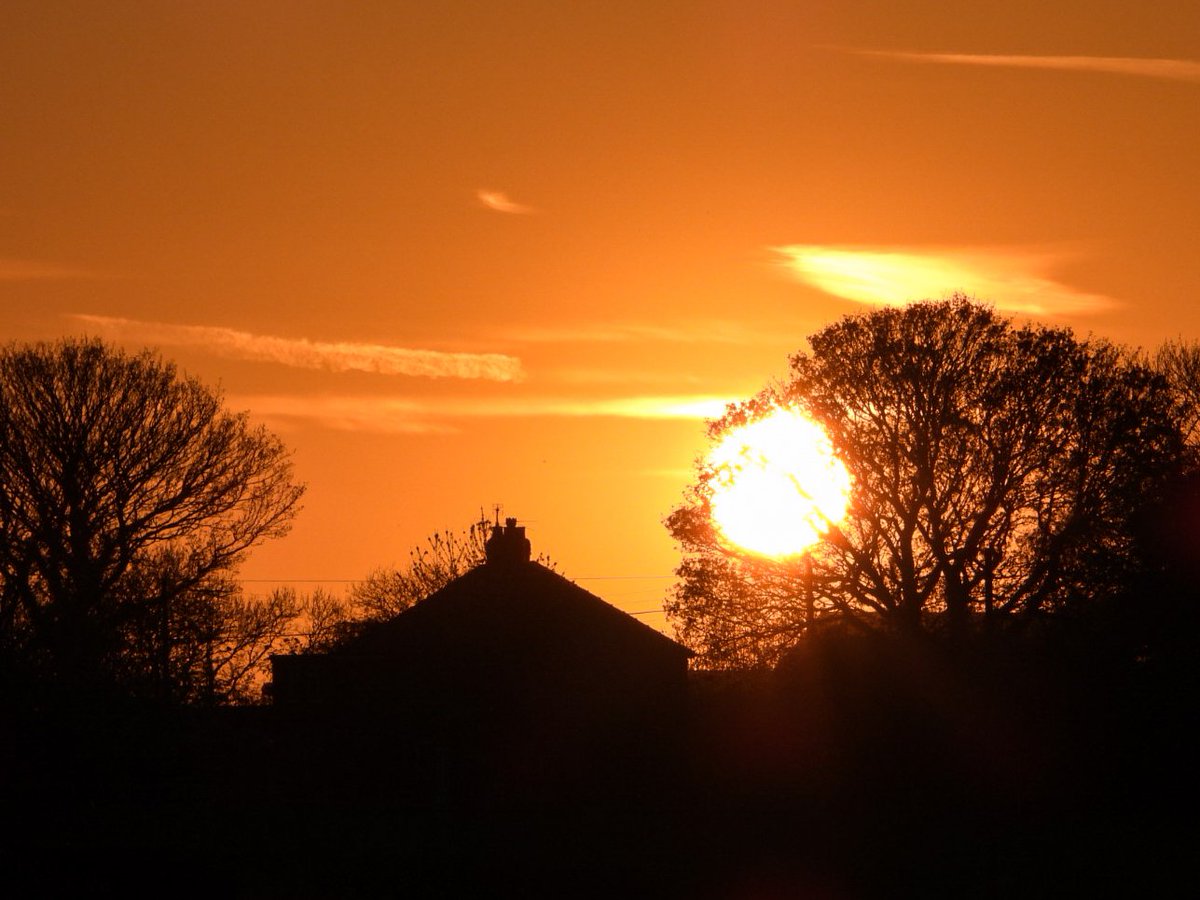 Sue Billcliffe tweet media