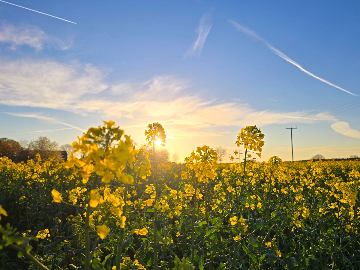 Sue Billcliffe tweet media