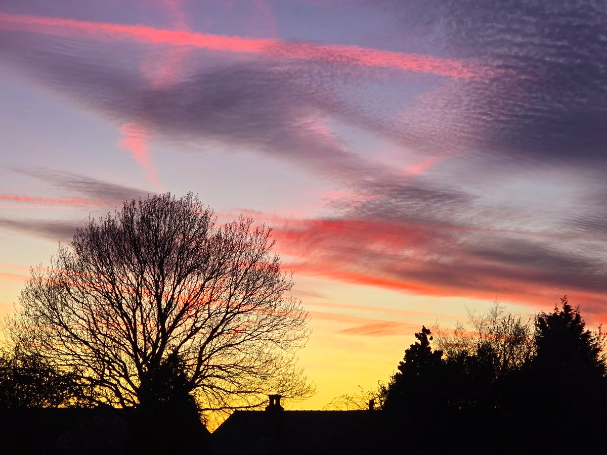 Sue Billcliffe tweet media