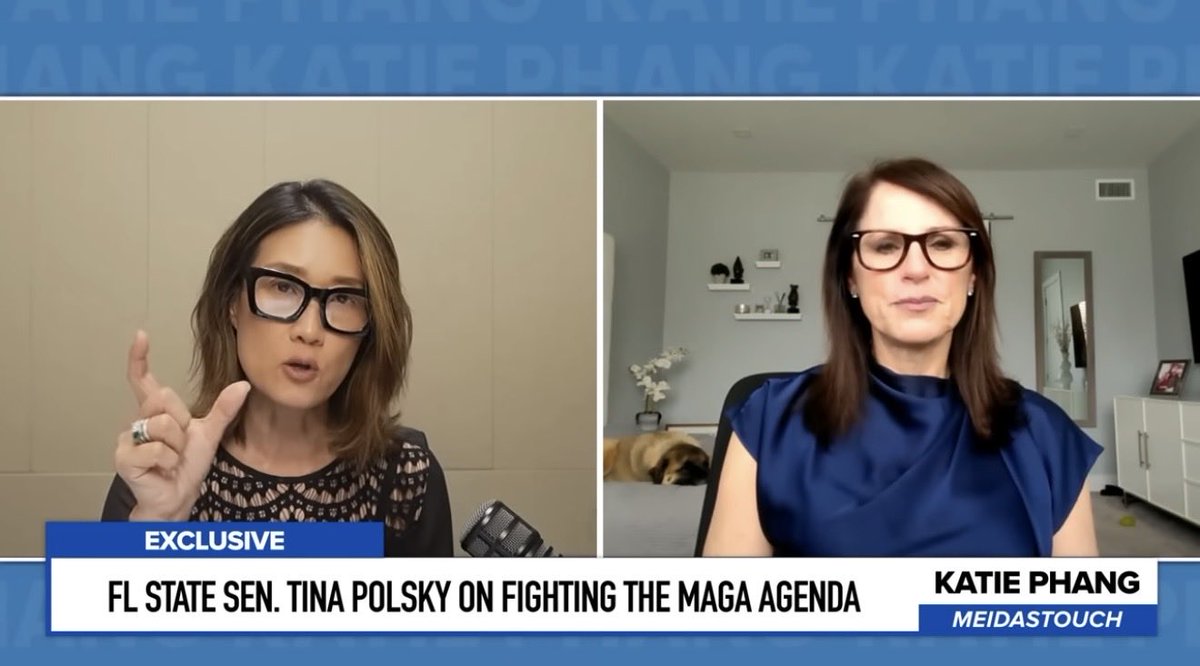 State Senator Tina Polsky tweet media