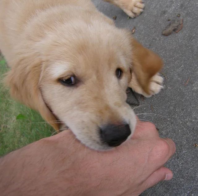 —— 𝙁𝙧𝙖𝙣𝙠 𝙇𝙖𝙣𝙜𝙙𝙤𝙣 tweet media