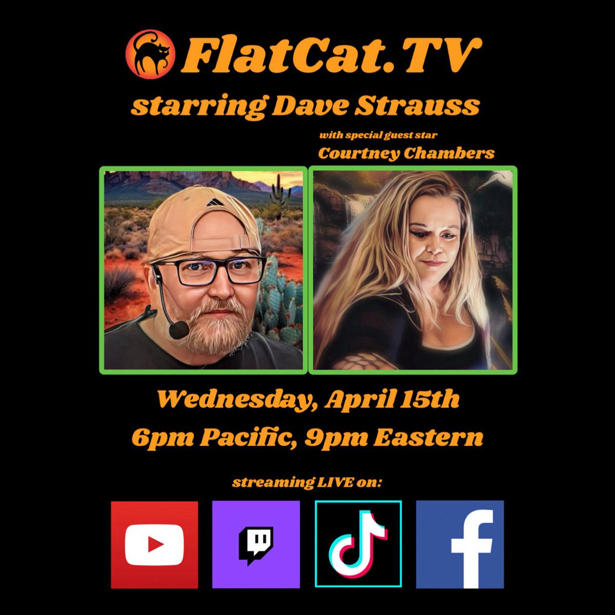 Flat Cat TV tweet media