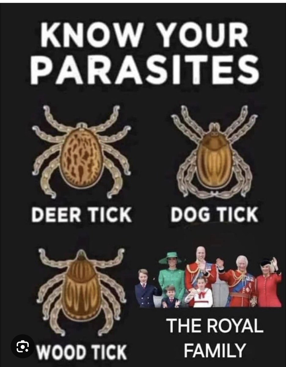 (Dreamer) tweet media