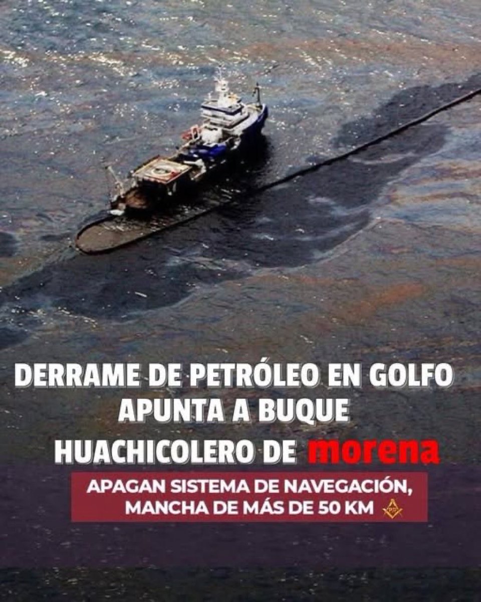 Sofia. 👸 ☘️ tweet media