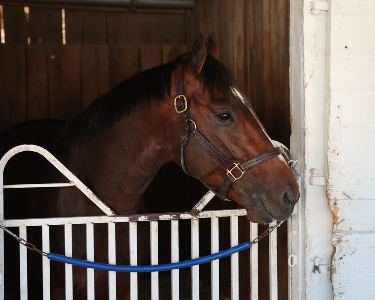 Kentucky Derby tweet media