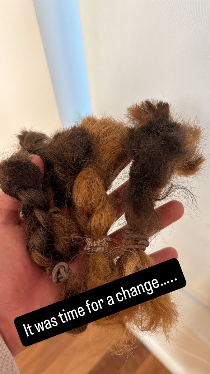 100T x RID NiceWigg tweet media