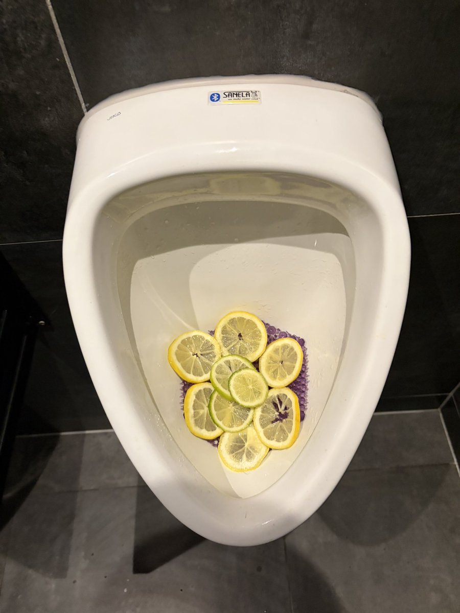 trent 🇨🇿 tweet media