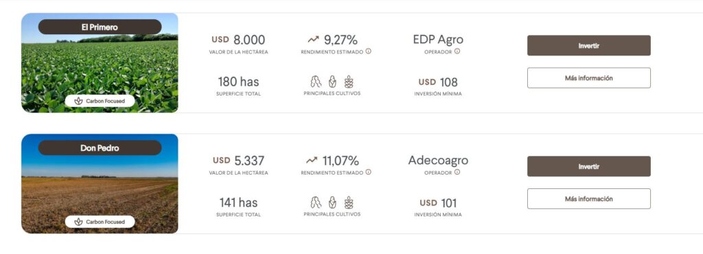CriptoNoticias tweet media