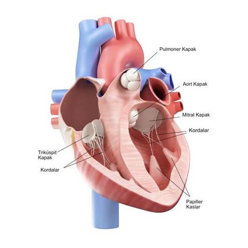 Boşuna Tıklama tweet media