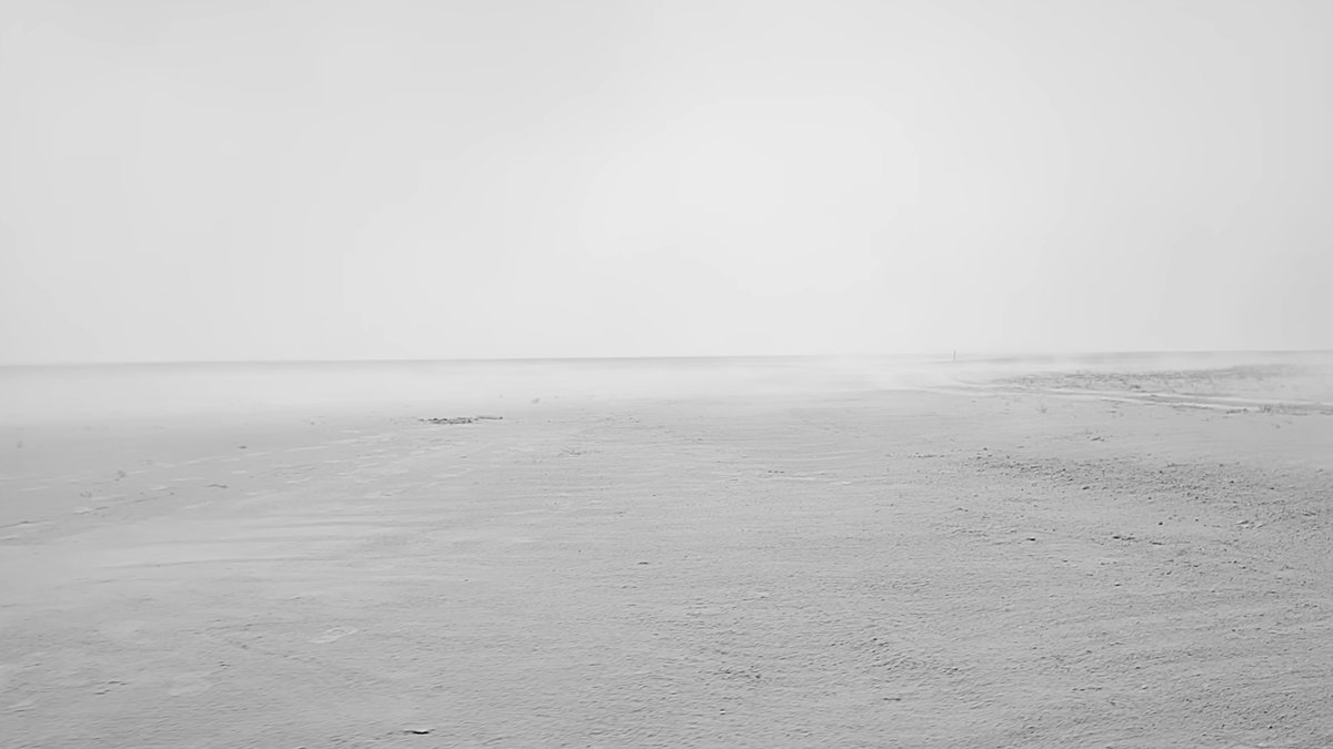 Pop Base tweet media