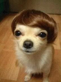 juantin charts tweet media