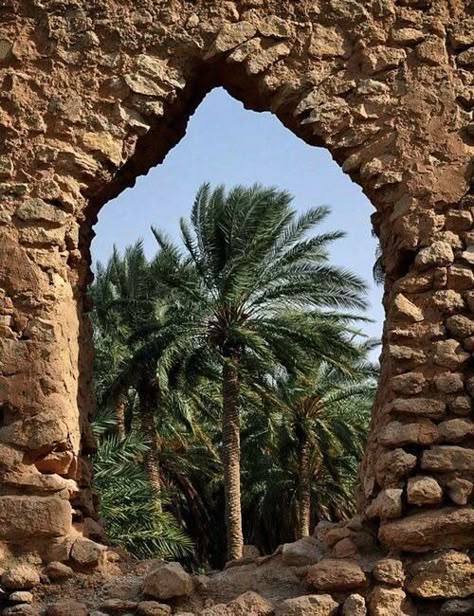 mazeen183's tweet photo. https://t.co/sQVYeHWaUT