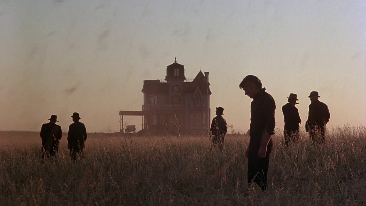 the cinema fella tweet media