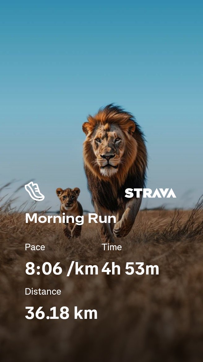 MusaMcplay's tweet photo. #FetchYourBody2026
#RunningWithTumiSole
#IPaintedMyRun 
🏃‍♂️🏃‍♂️🏃‍♂️🏃‍♂️🏃‍♂️🏃‍♂️ https://t.co/PgIoP02Qmu