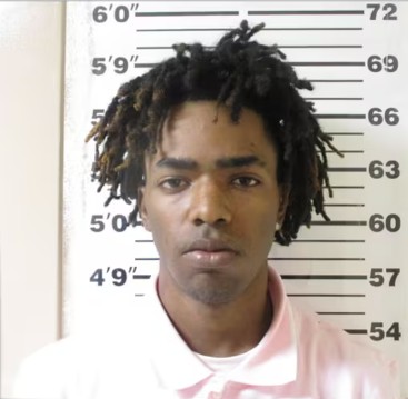 National Conservative tweet media