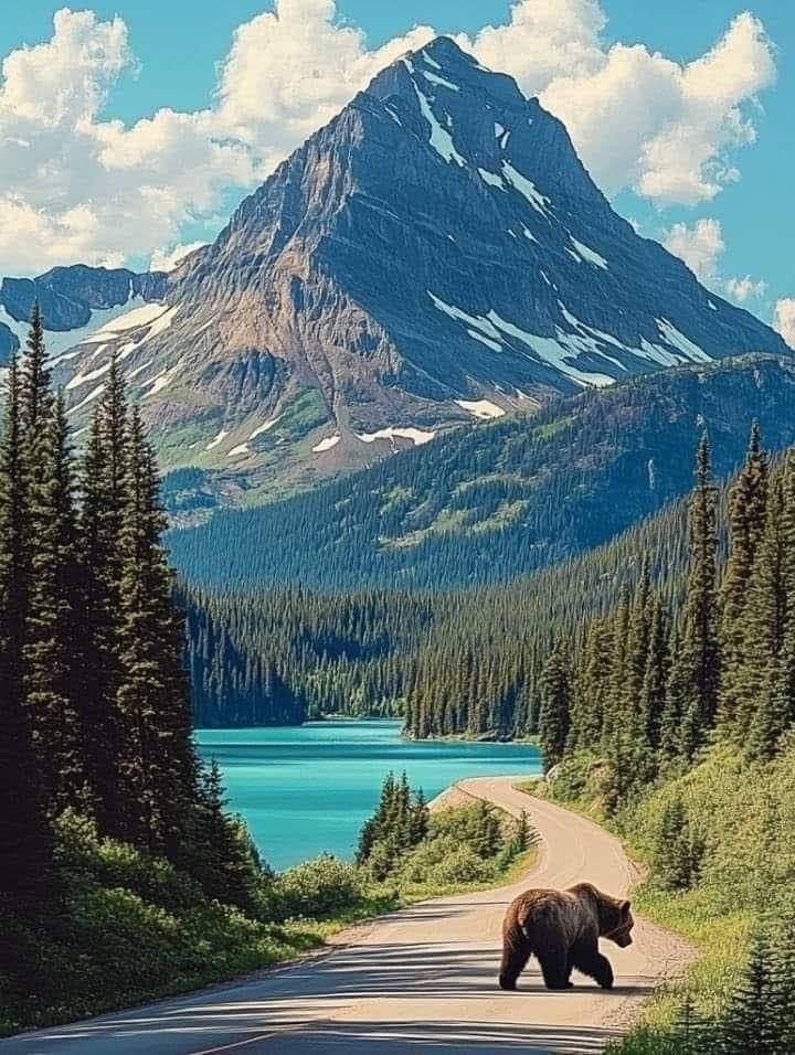 Earthglory tweet media