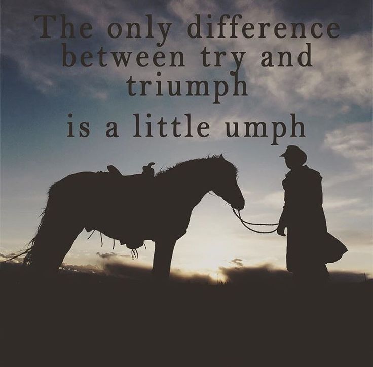 Michael Doyle tweet media