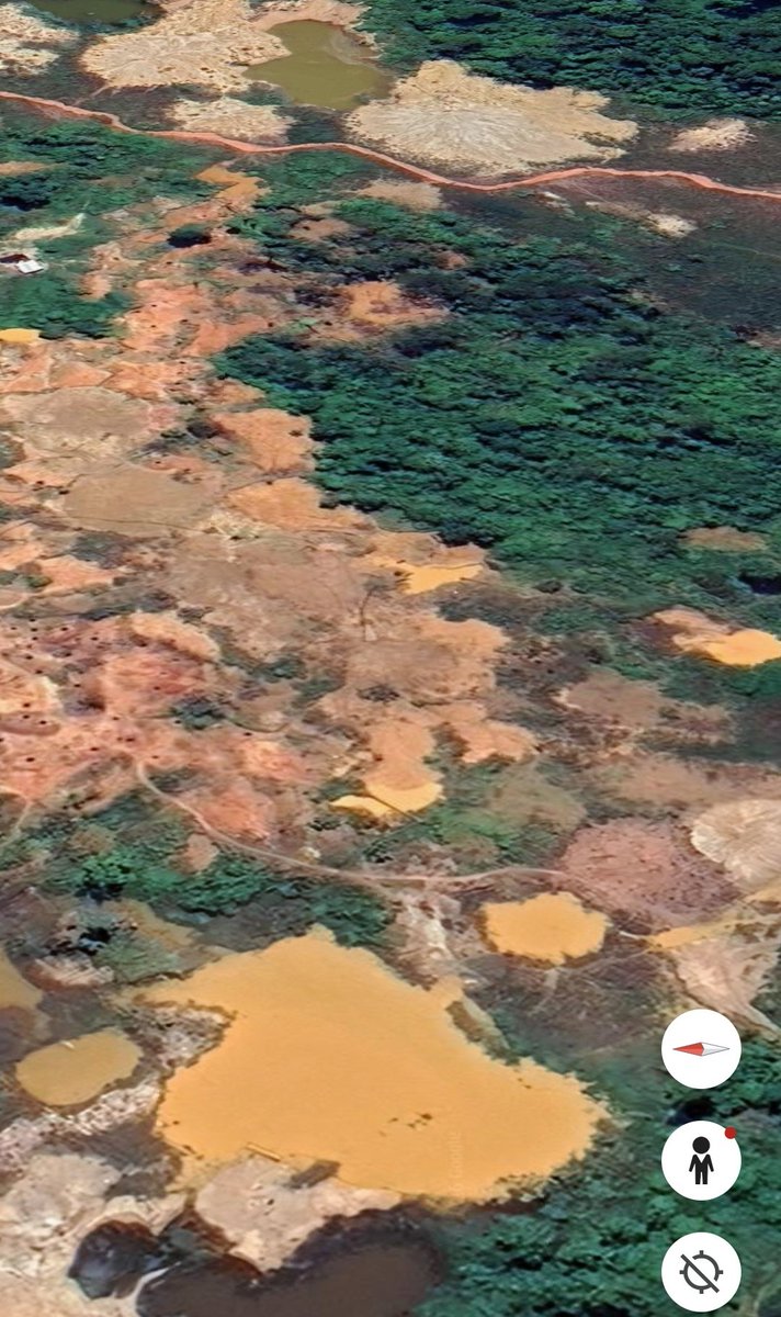 Fritz Sanchez tweet media