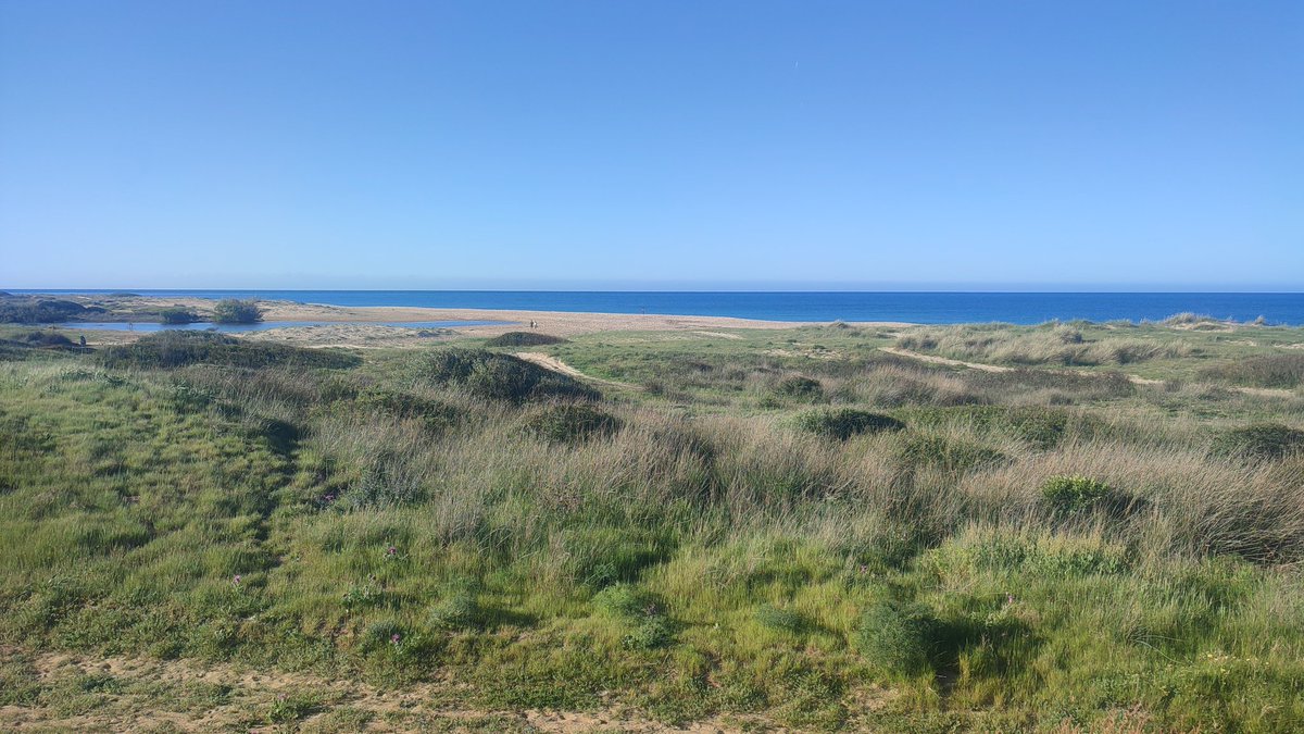 Olas infinitas tweet media