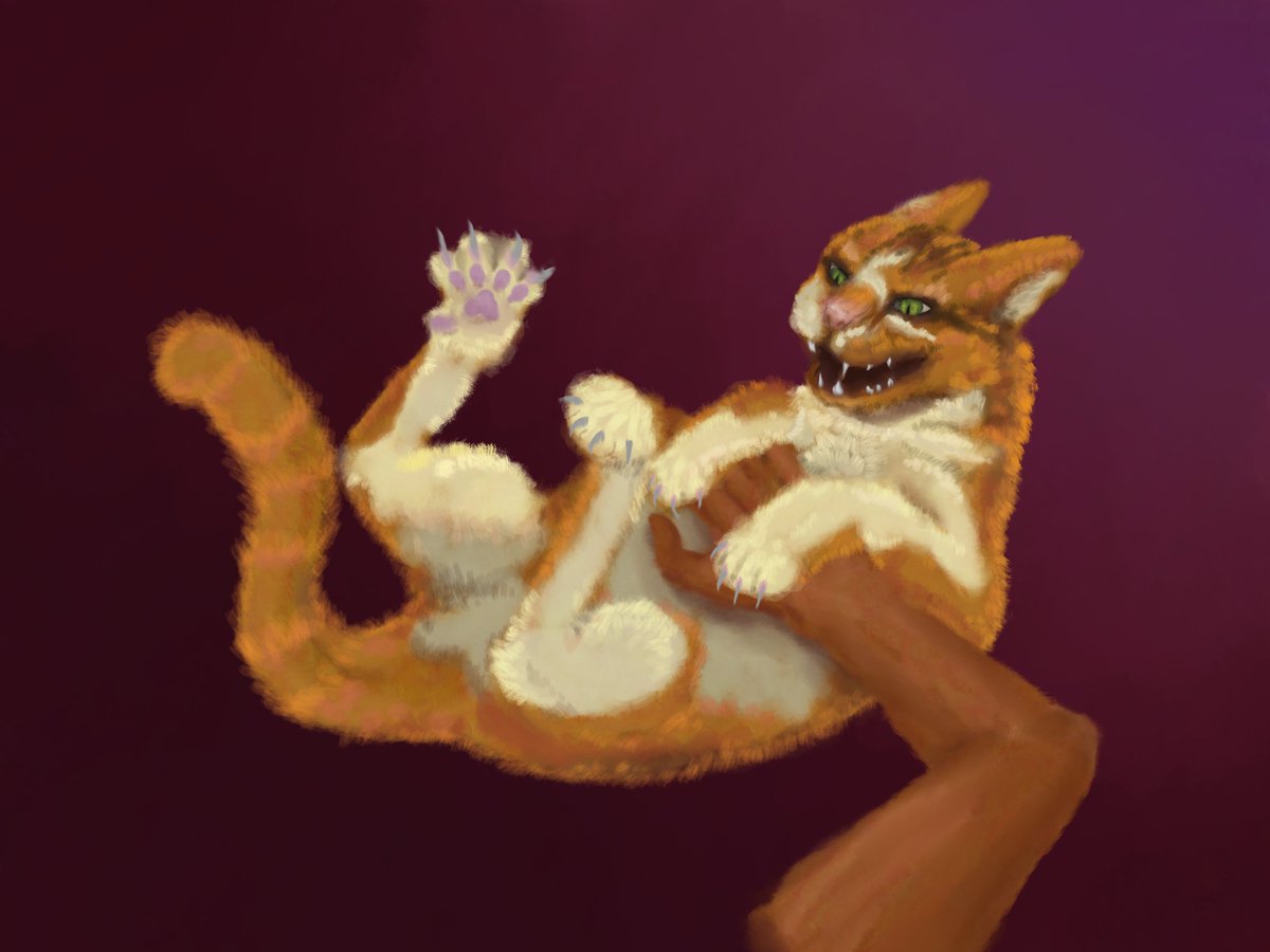 nabrus250's tweet photo. Teto the cat! Done on VGen for
https://t.co/VD0YPwlHvC

All the love! Very nice to work with :]

#vgen #commissionart https://t.co/QbV9PtvFMx