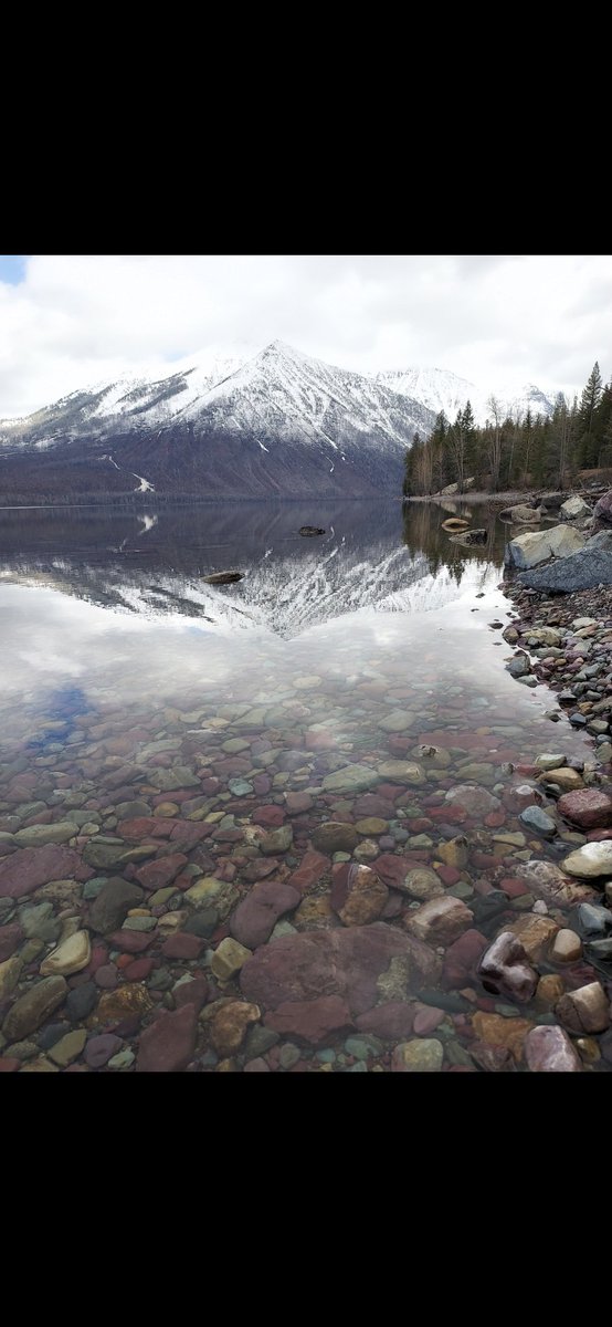 Happy 406. Montana is the standard