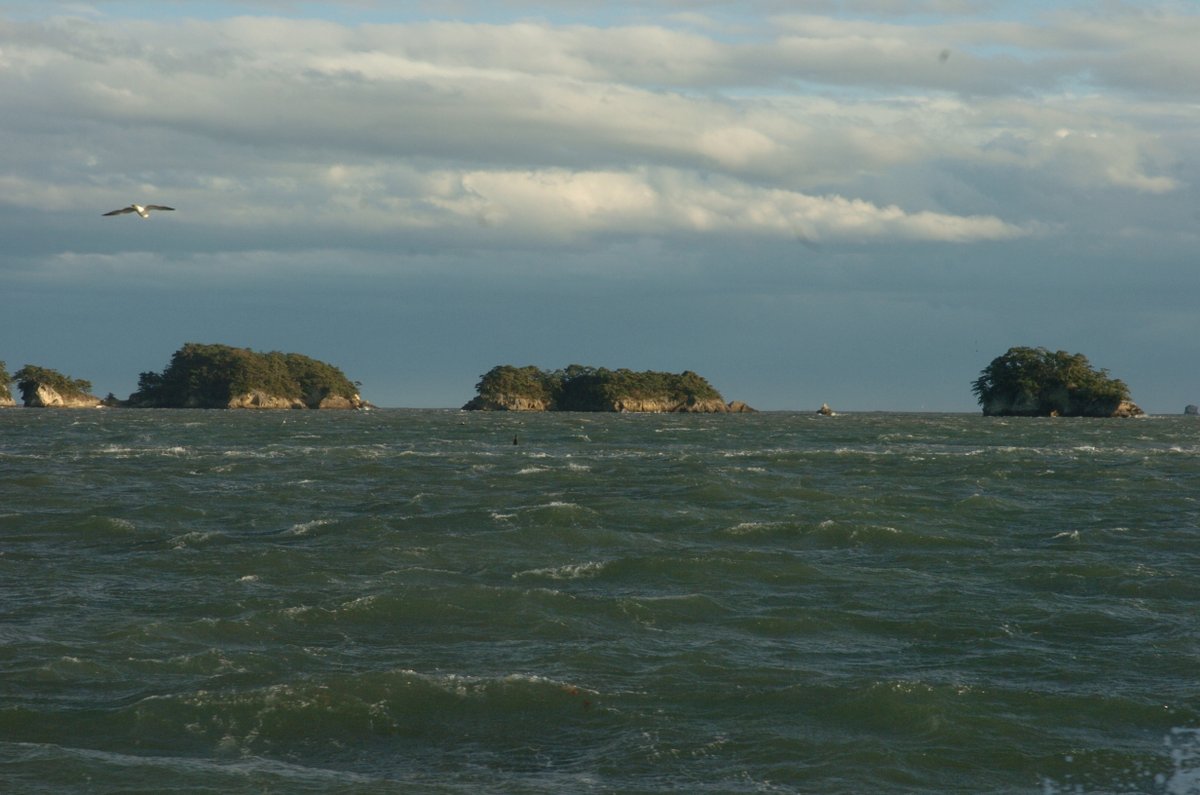 33miura's tweet image. 松島
 
#Cameras
#Leica
#NIKON