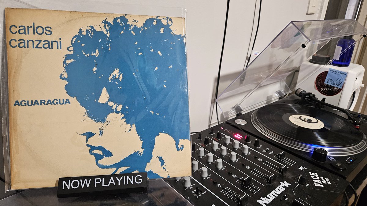 where did she fly tweet media