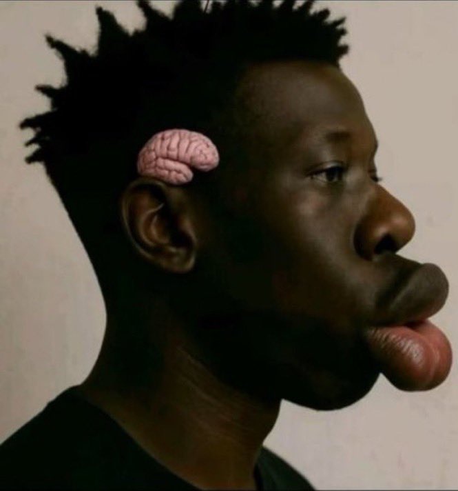 FreeThinker1956 tweet media