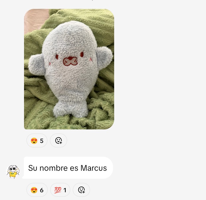 Oigan Miren es Marcus! No sé si lo conocen pero xiaro creo que ya lo menciono antes en un Stream.
Es el hijito de calce y xiaro, saluden a Marcus! Que bonito es Marcus