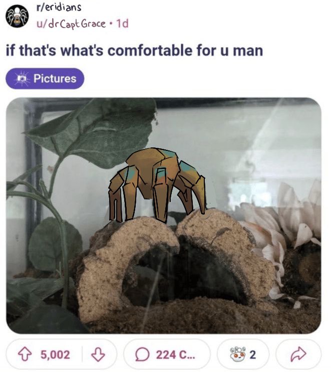 Dredgen Sale ⬛️⬜️🟪 tweet media