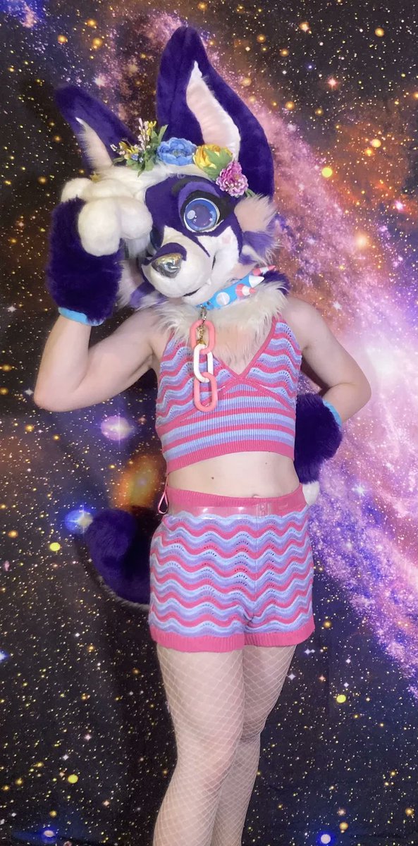 Dijit 💜 the Petal Princess 🌸 tweet media