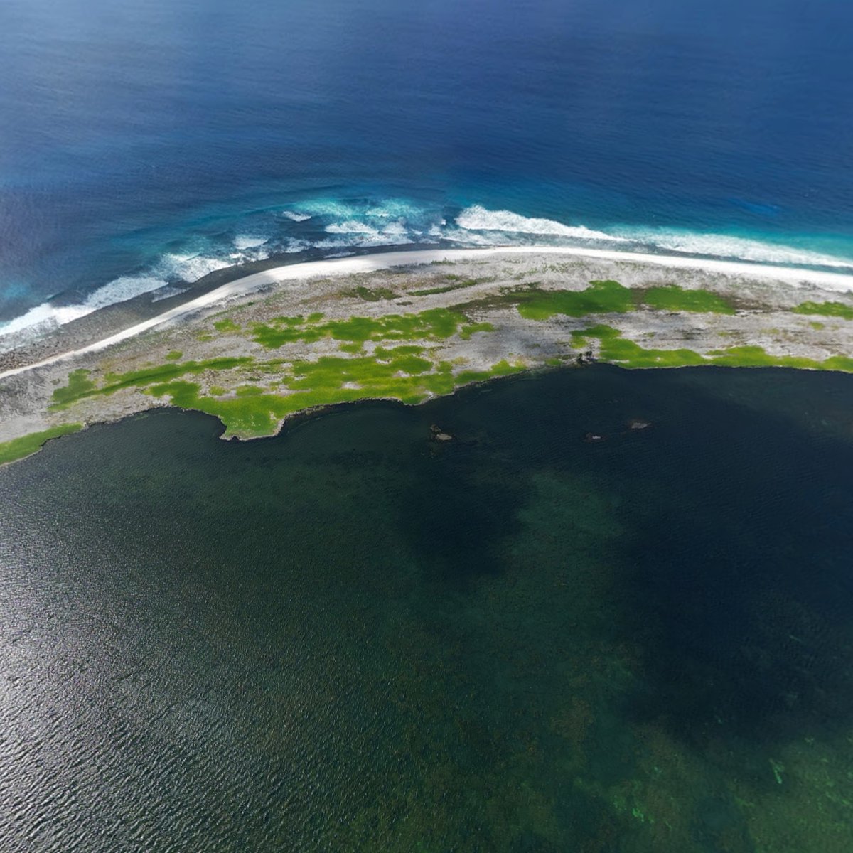 Teleported tweet media