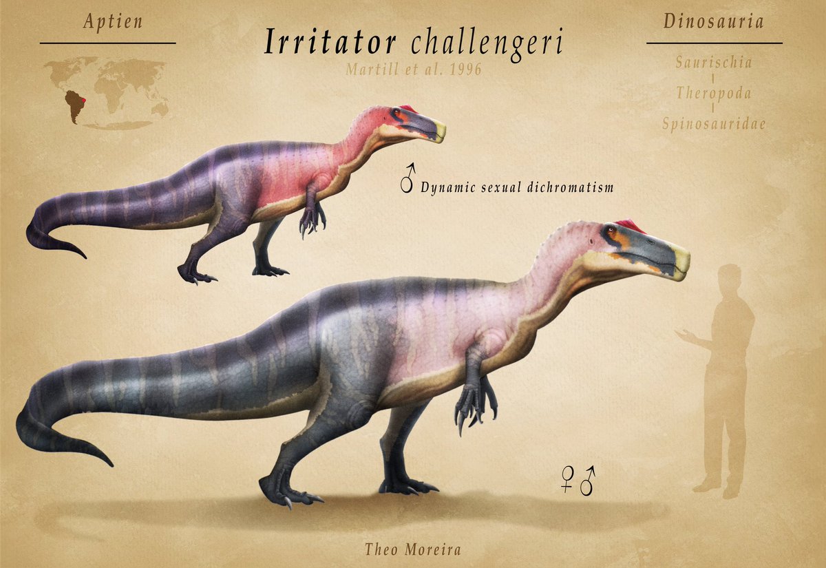 Theo Moreira | Paleoart tweet media