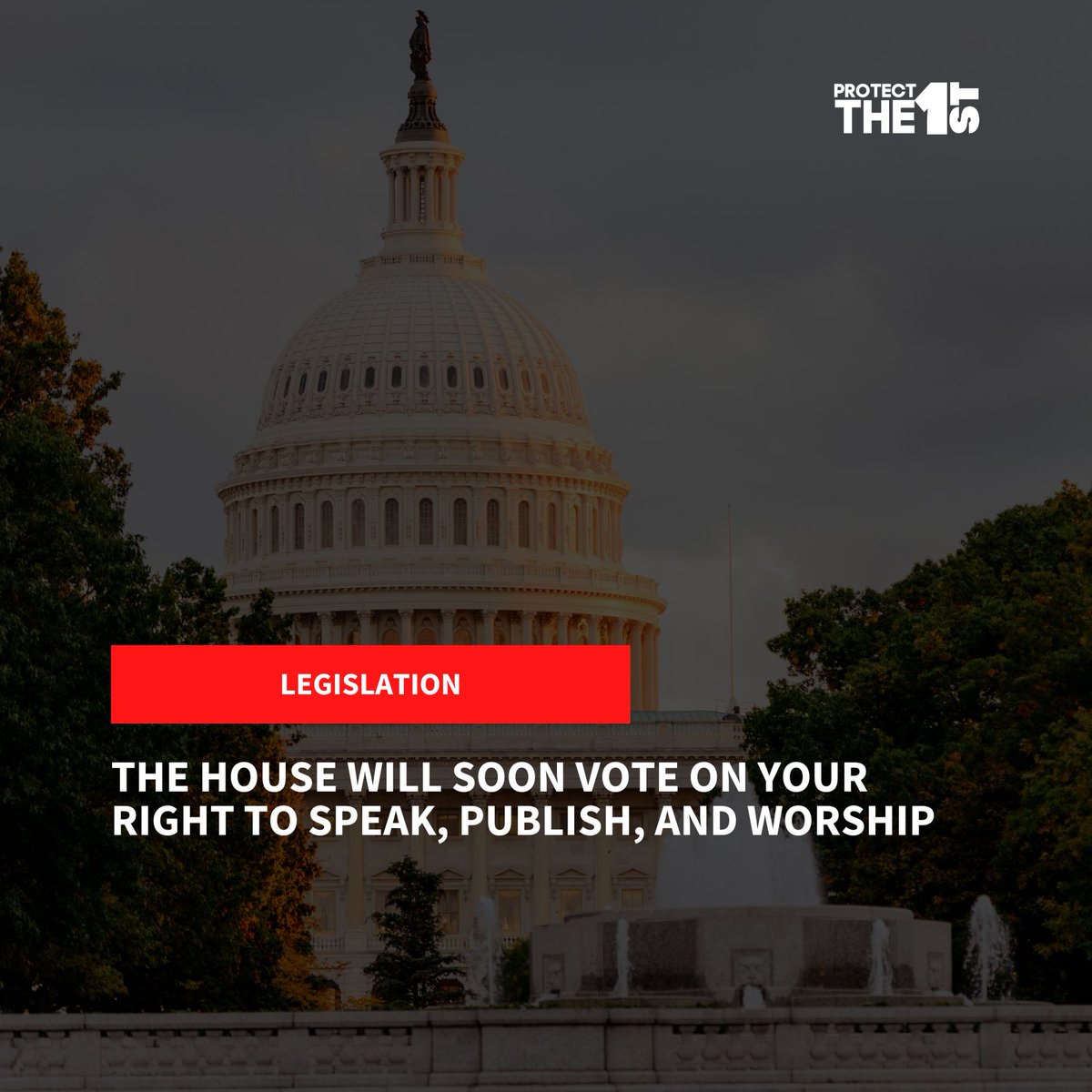 Protect The 1st tweet media