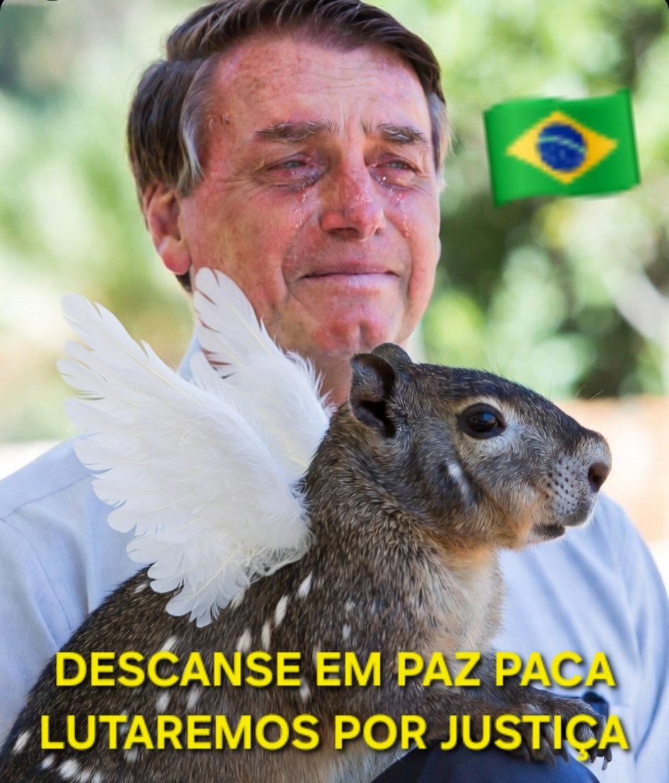 Joaquin Teixeira tweet media