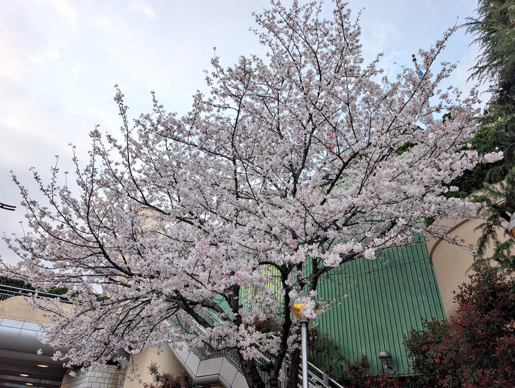 🏎️龍貴蘭(ロンさま) tweet media