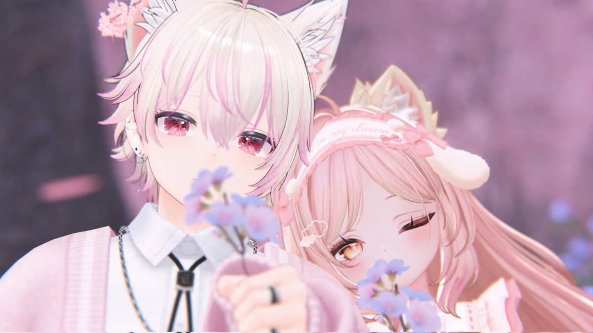 ねこすい tweet media