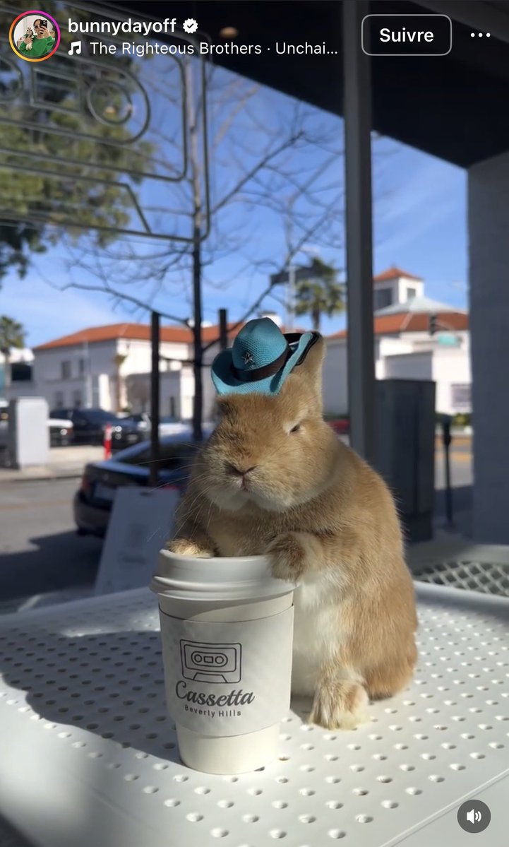 Stéphanie tweet media