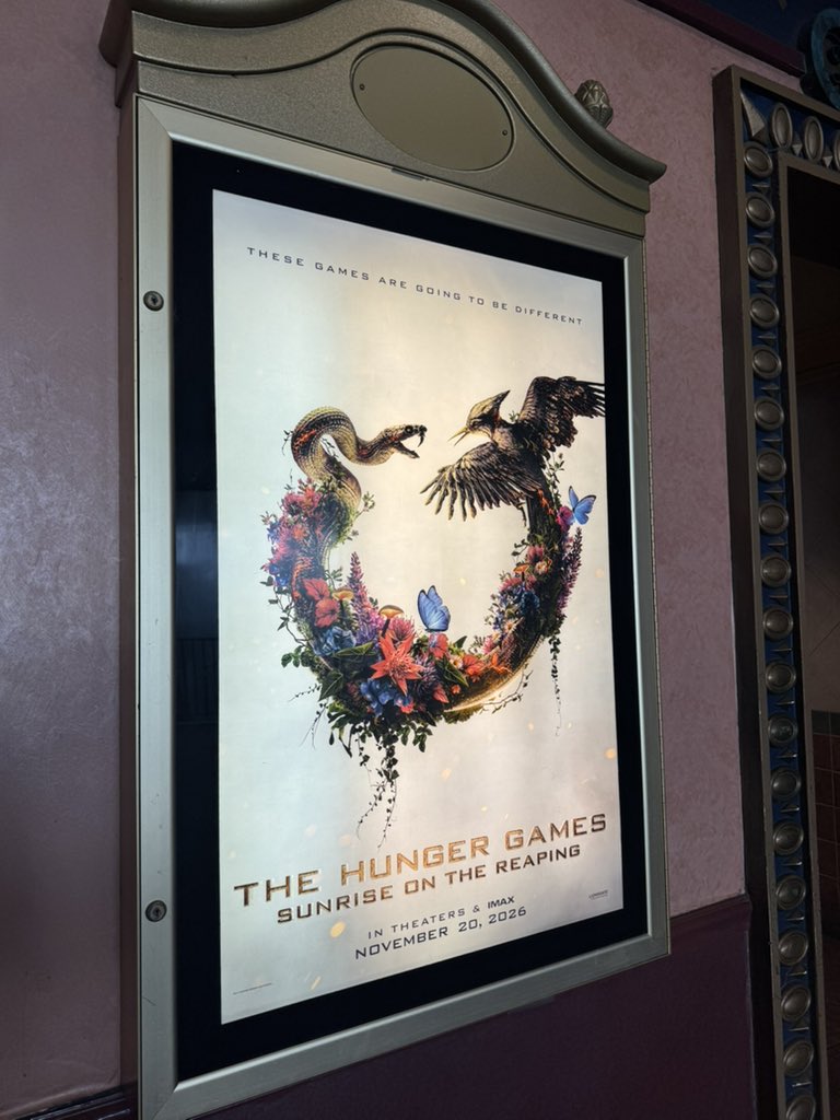 ash⋆˙⟡ DDBA spoilers tweet media