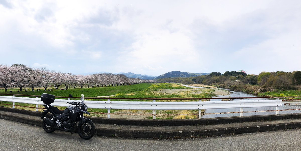 ☆ツバキッキ☆埼玉県の比企郡が好き♡好き♡Vストローム250乗り(・∀・)ニヤニヤ♡ tweet media