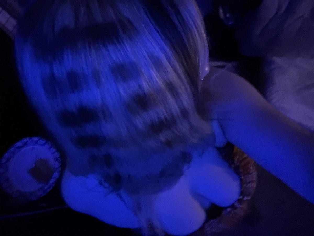 genuinely love my hair