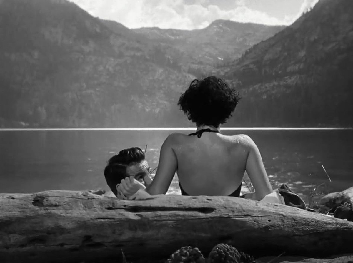 archistar tweet media