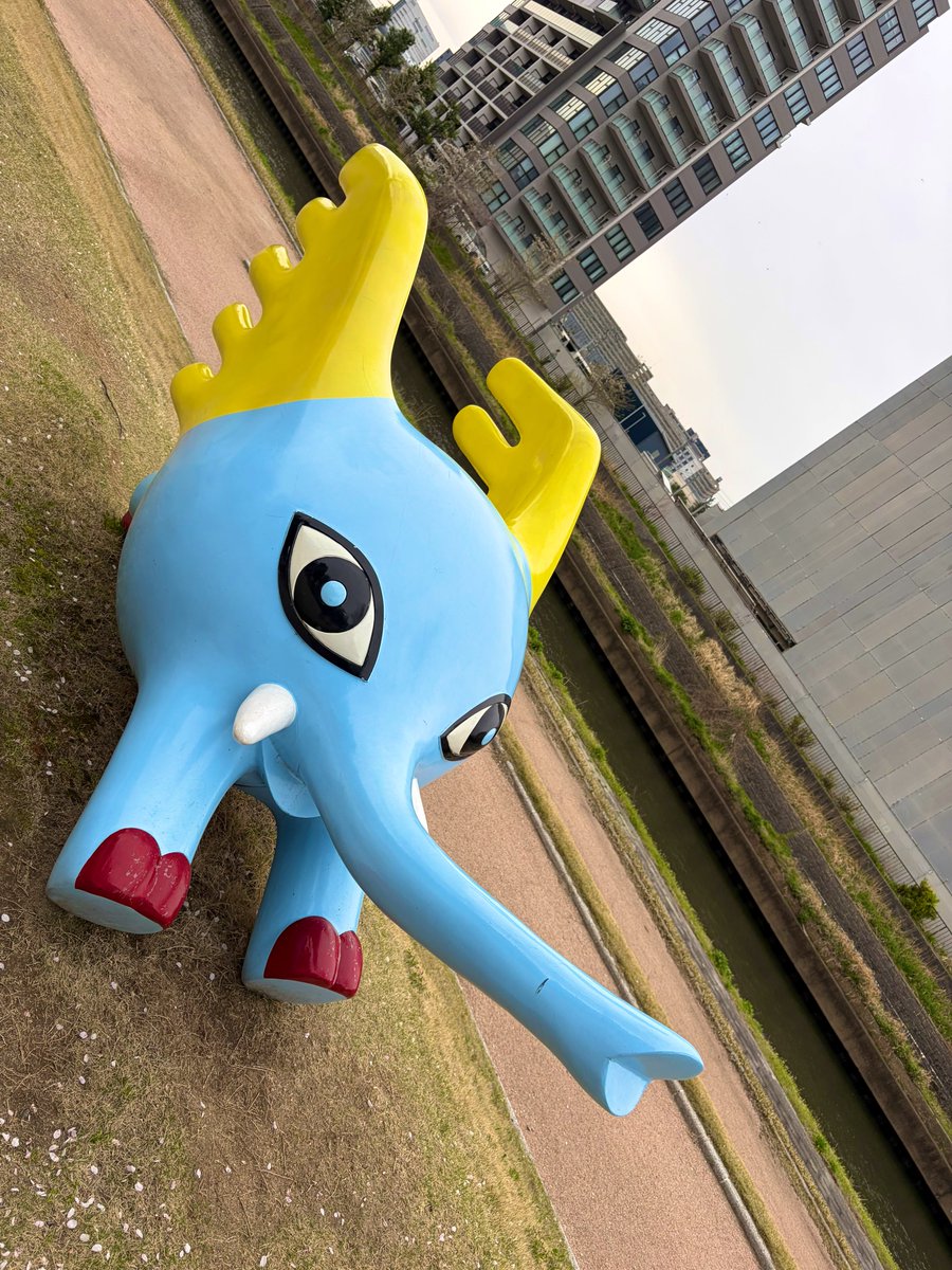 安寧の揺籠 tweet media