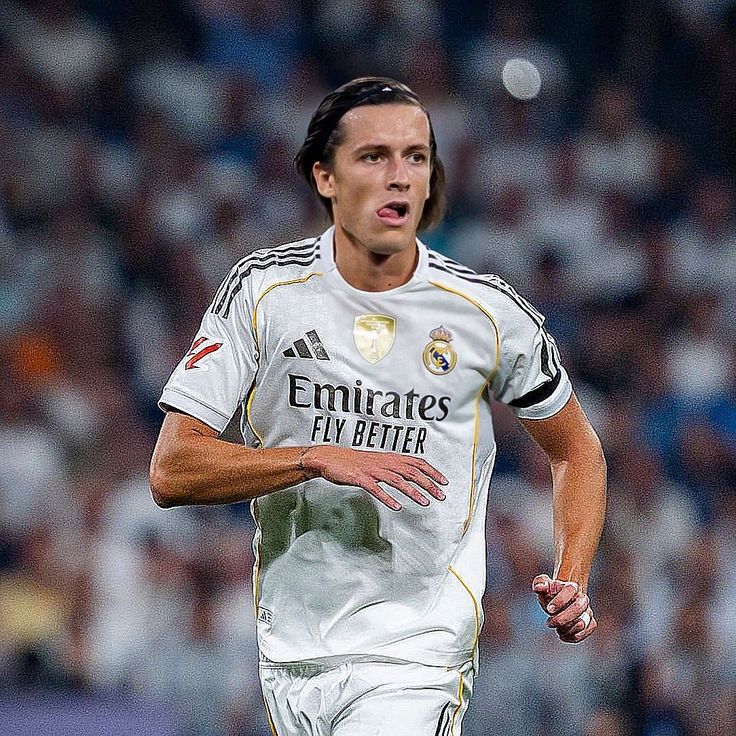 Madrid Zone tweet media